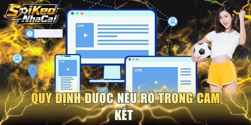 Quy định được nêu rõ trong cam kết 